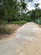 Bán 1000m2 đất ở toàn bộ Cẩm Thanh, Hội An, cách rừng dừa 7 mẫu 1km