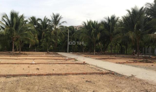 Đất nền Vĩnh Hiệp, giá chỉ 11,5 tr/m2, đã có sổ đỏ 2019