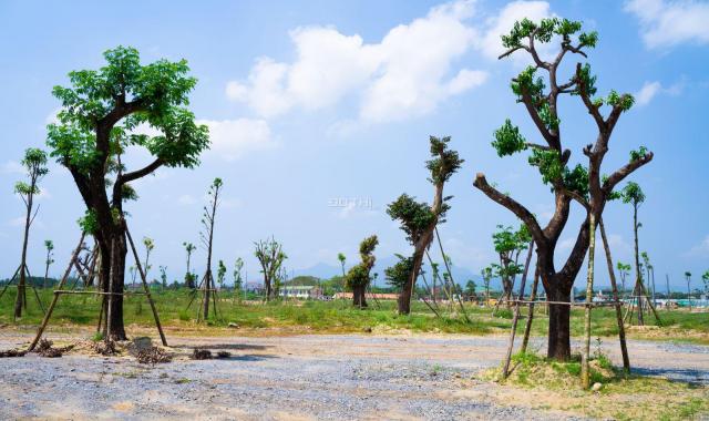 Bán đất nền cách TP Quảng Ngãi 1 km