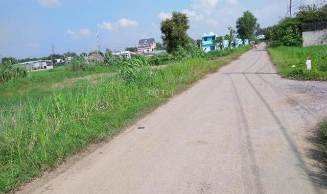 Bán đất xây xưởng xã Phước Thạnh, huyện Củ Chi. Giá siêu rẻ, SHR