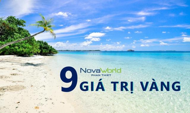 6 lí do đầu tư dự án NovaWorld Phan Thiết, tiềm năng sinh lời mỗi ngày. HL - 0911 222 999