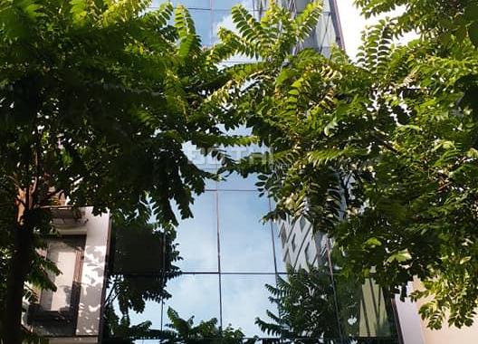 Bán nhà 7 tầng thang máy mặt ngõ ô tô tránh phố Trần Quang Diệu 46m2, giá 13,8 tỷ