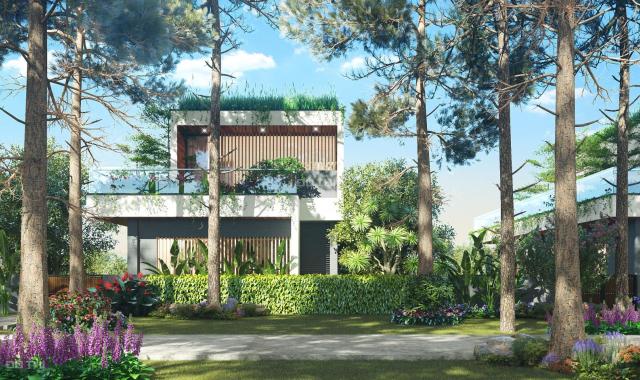 Biệt thự view hồ Flamingo Đại Lải, 4 PN, 300m2, bể bơi riêng, sở hữu vĩnh viễn, 0971036746