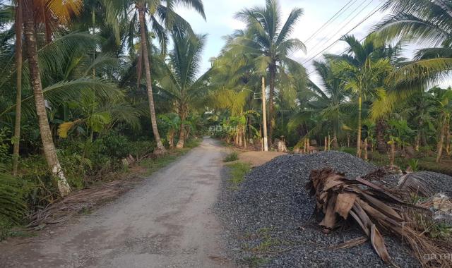 Đất Bến Tre vườn cây đẹp chăm sóc kỹ, một mặt giáp sông, đường ô tô, gần trung tâm. Rộng 17000m2