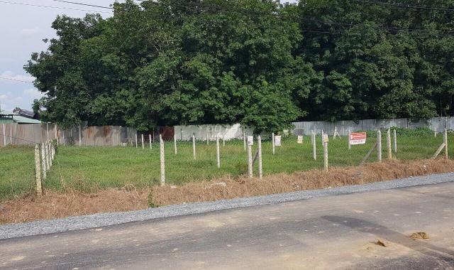 Bán đất tại đường Nguyễn Thị Lắng, Xã Phước Vĩnh An, Củ Chi, Hồ Chí Minh diện tích 1400m2 giá 11 tỷ