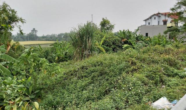 Bán đất tại đường Quốc lộ 1A, Xã Thanh Phong, Thanh Liêm, Hà Nam, diện tích 105m2, giá 780 triệu