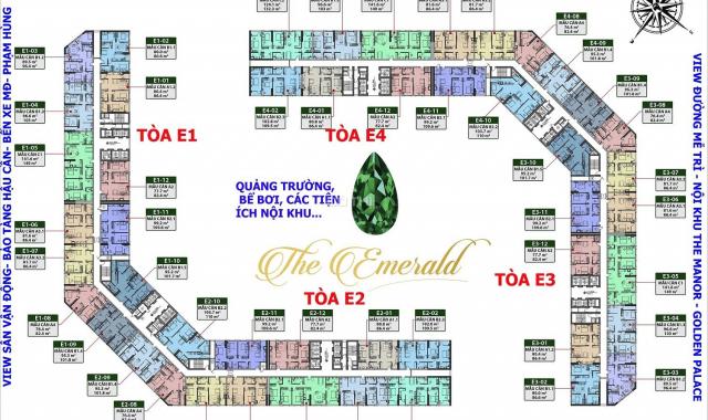 Chính chủ cần bán căn hộ CCCC The Emerald, CT8 Mỹ Đình