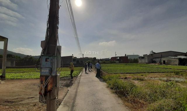 Bán đất Tân Hải - BRVT - ngay tuyến tránh QL 56 sau lưng trường THCS lÊ Hồng Phong