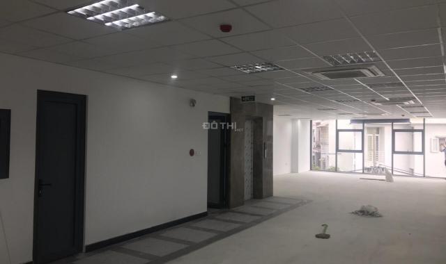 Văn phòng MT Trường Sơn, Lam Sơn, bàn giao 2 sàn 130m2 cho Doanh nghiệp