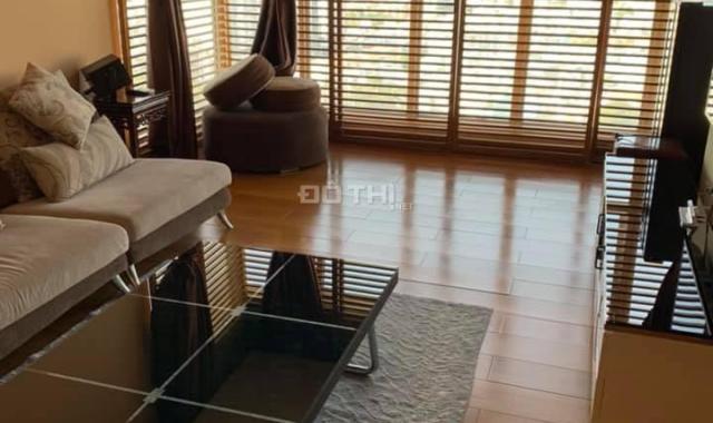 Cho thuê căn hộ penthouse The Everrich, tháp R1, đường 3/2, Q. 11, 560m2, 3 phòng ngủ