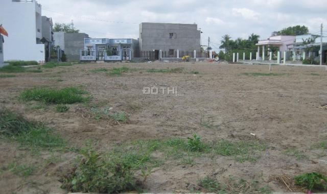 Bán 1000m2 đất vườn gần Vườn Thơm, xã Bình Lợi, Huyện Bình Chánh (gần Cầu Xáng)