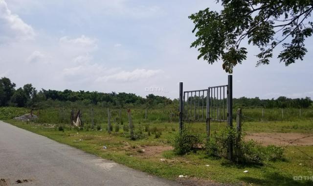Dân ở lâu đời cần bán đất vườn Long Phước, Quận 9 1000m2, 4 tỷ, giá cực rẻ