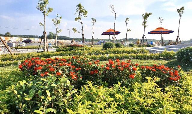 Mở bán đất khu đô thị Bàu Bàng, Bình Dương giá chỉ từ 239 triệu, SHR Xây dựng tự do