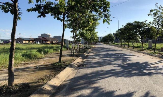 Bán ô đất 200m2 ở khu đô thị Nam Vĩnh Yên, vị trí đẹp