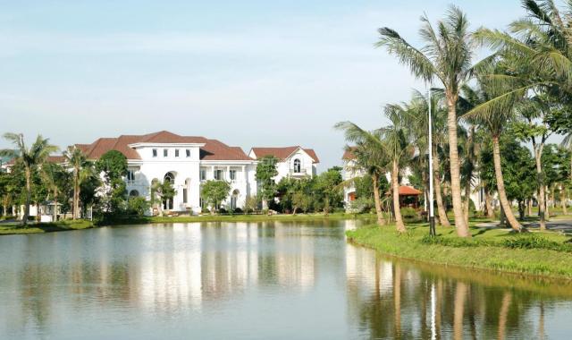 Bán biệt thự Vinhomes Riverside Anh Đào 8-28, Long Biên, Hà Nội, diện tích 454m2, MT 14m
