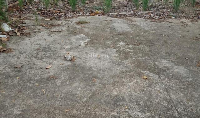 Bán lô đất CLN Nhơn Trạch, mặt tiền Hùng Vương, cách cầu Cát Lái chỉ 3,2km