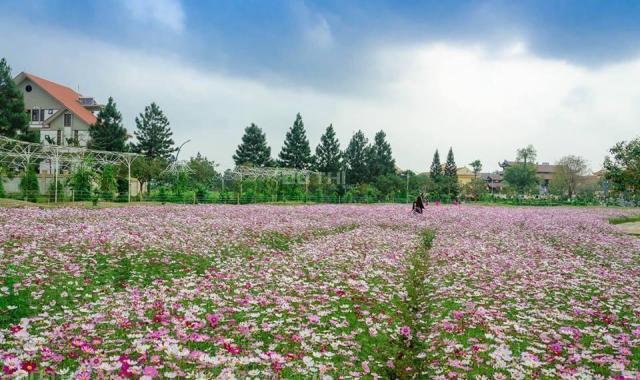 Chính chủ bán đất biệt thự The Phoenix Garden, 400m2, hướng Đông Nam, 18.5 tr/m2