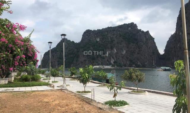 Bán đất tại dự án khu đô thị Quảng Hồng, Cẩm Phả, Quảng Ninh diện tích 85m2, giá 1.35 tỷ
