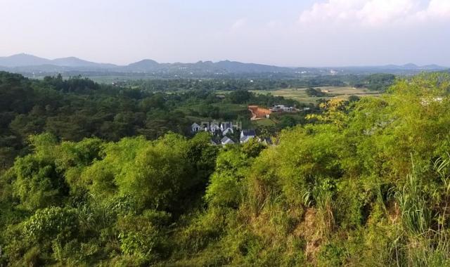 Bán đất tại đường Tản Lĩnh, xã Yên Bài, Ba Vì, Hà Nội, diện tích 100000m2, giá 22 tỷ