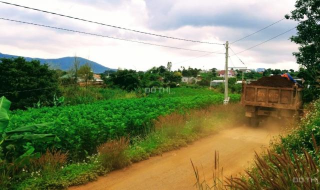 Chính chủ cần bán lô đất đẹp, giá rẻ tại huyện Lâm Hà, tỉnh Lâm Đồng