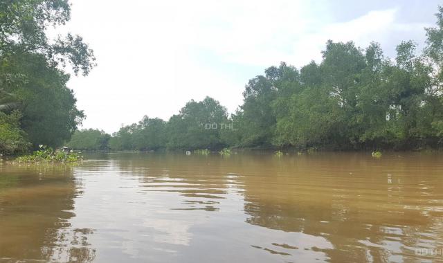 Chính chủ bán 1 mẫu 7 đất MT sông làm du lịch sinh thái 800 tr/1000m2 ở H. Châu Thành, T. Bến Tre