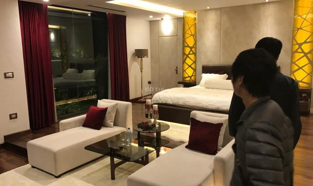 BQL cho thuê căn hộ tại D'. Le Pont D'or, Tân Hoàng Minh, 36 Hoàng Cầu, 2-3PN, giá từ 14 triệu/th