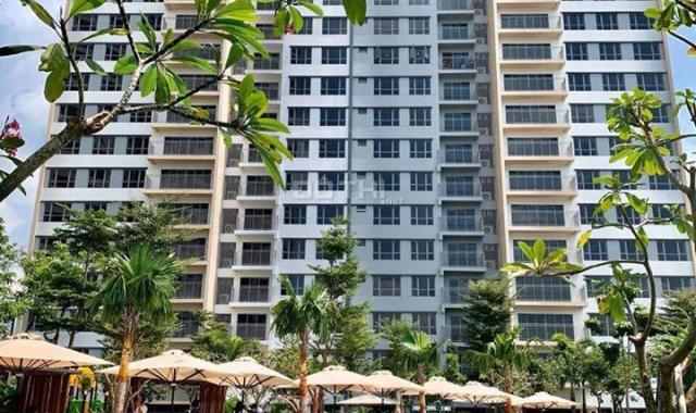 Bán căn hộ Palm Heights - giỏ hàng Palm Heights giá tốt nhất