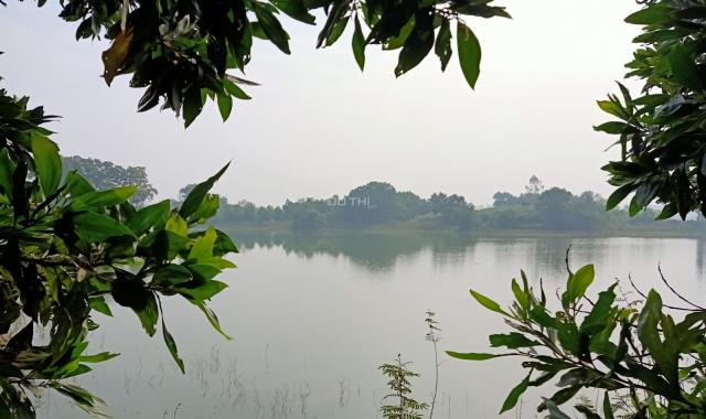 Bán đất nghỉ dưỡng lòng hồ siêu đẹp siêu rẻ DT 3576m2, tại Đồng Mô, Sơn Tây: LH 0363166699