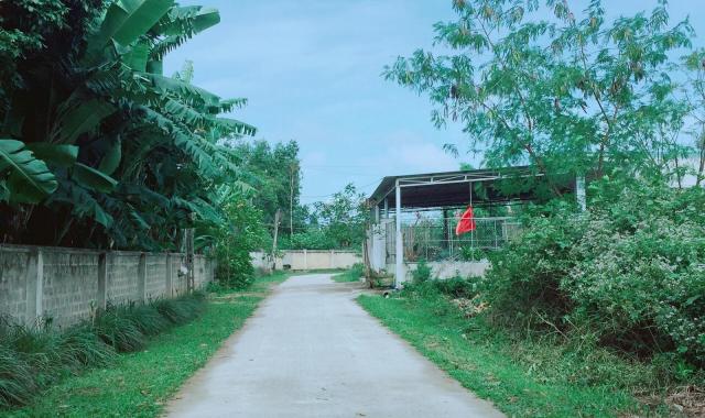 Bán đất tại Bắc Nghĩa, Đồng Hới, Quảng Bình diện tích 145m2 giá 436 triệu