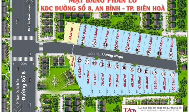 Bán đất đường Số 8, P. An Bình, TP. Biên Hòa, DT 60m2 vuông vức, đường nhựa 6m, giá đầu tư