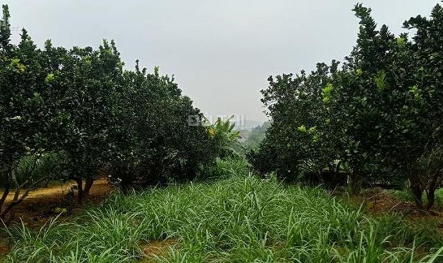 Bán đất nông trường, bám mặt hồ sát sân golf Đồng Mô, giá chỉ hơn 2 tỷ. LH 0866990503