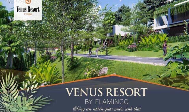 Cần bán lô đất Flamingo Venus Vĩnh Phúc, diện tích 180m2, giá TT 1.33 tỷ, LH 0907.338.838