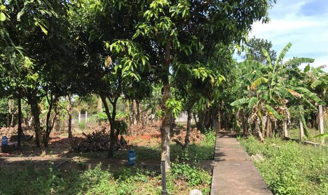 Bán nhà sân vườn tại xã Long Phước, Bà Rịa, Bà Rịa Vũng Tàu, diện tích 2801m2, giá 2 tỷ