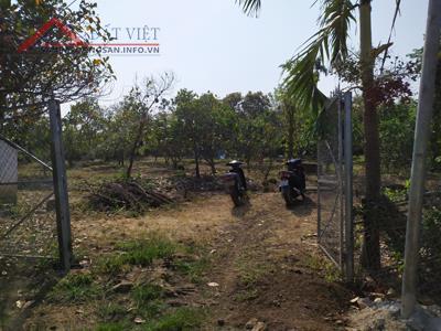 Bán gần 2 sào vườn trái cây đủ loại có suối nước quanh năm Bình Lộc, TP Long Khánh