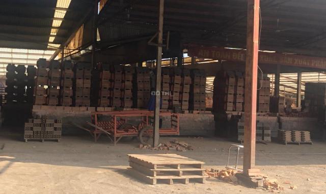 Bán nhà máy gạc tại xã Kinh Kệ, Lâm Thao, Phú Thọ 5,6 ha, dây chuyền, nhân công có sẵn