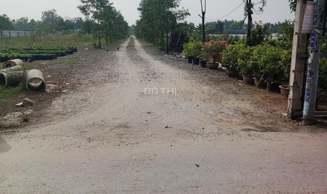 Chính chủ cần bán gấp lô đất đẹp ở xã Vĩnh Lộc B, huyện Bình Chánh, TP. HCM