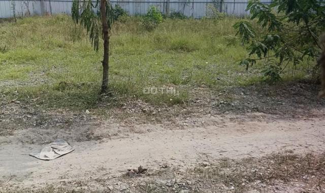 Chính chủ cần bán gấp lô đất đẹp ở xã Vĩnh Lộc B, huyện Bình Chánh, TP. HCM