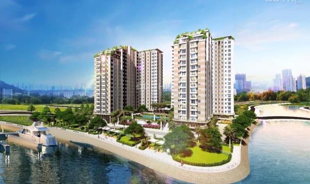 Sang nhượng gấp căn hộ Conic Riverside quận 8, 49m2, 1PN+, tháng 8, giao nhà, giá 1.33 tỷ