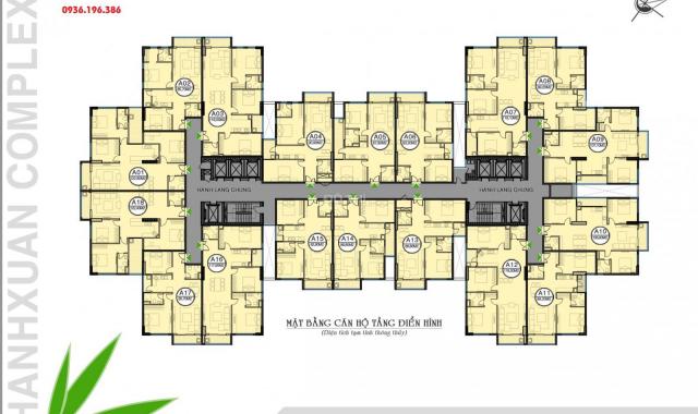 Bán căn hộ Thanh Xuân Complex (Hapulico) tòa 24T3, 2 phòng ngủ, BC Đông Bắc