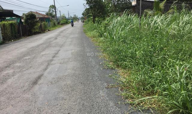 Cần bán đất ruộng tại Tân Thành, huyện Gò Công Đông, Tiền Giang