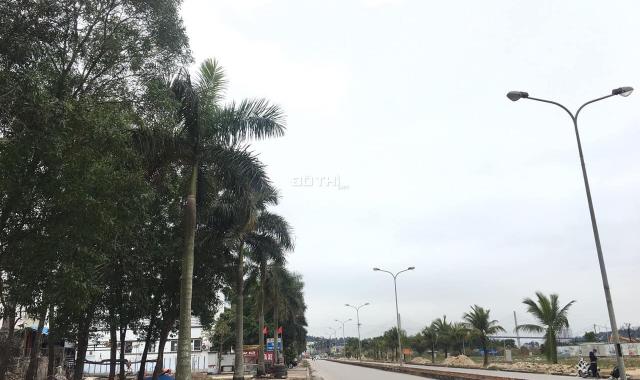 Bán ô đất biệt thự mặt đường 31m Hà Khánh A mở rộng giá rẻ nhất thị trường