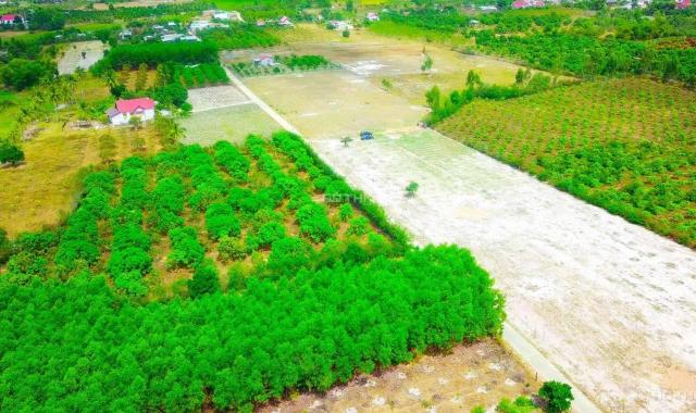 Bán đất tại đường 39, Xã Suối Tiên, Diên Khánh, Khánh Hòa, diện tích 82m2, giá 260 triệu