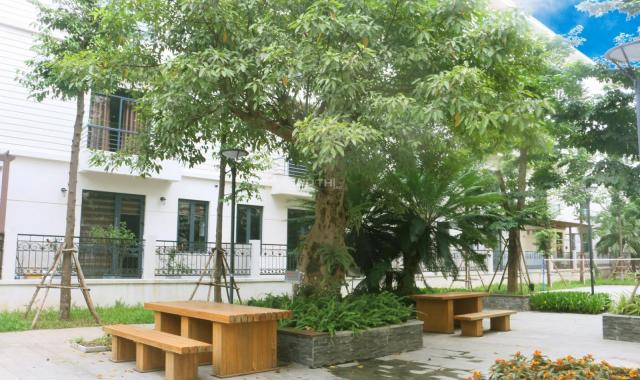 Nhà vườn Pandora Thanh Xuân vị trí đắc địa, ở xanh sống sạch cho thuê có lãi đầu tư sinh lời