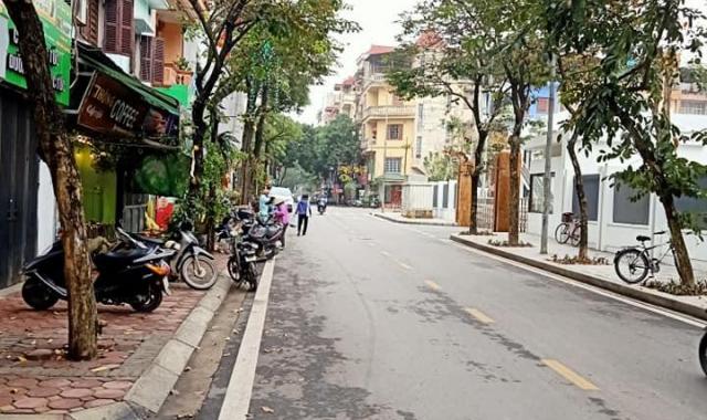 Bán nhà phân lô quận ủy Trần Quang Diệu, gara ô tô, 50m2, 5 tầng, mặt tiền 5m