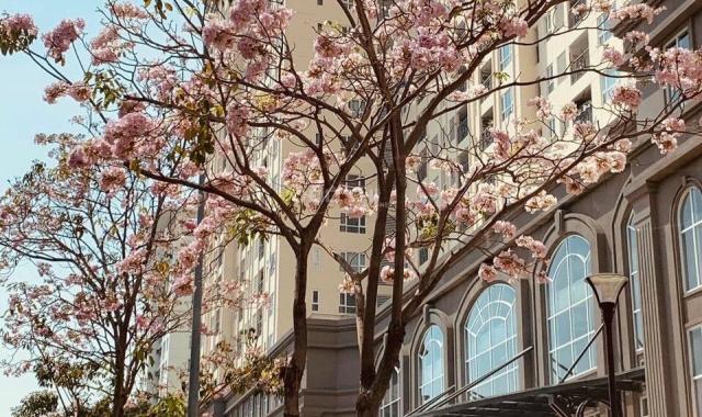 Nhà phố rẻ nhất KDC Trung Sơn, nhà đường Số 9, hướng Tây, giá 12.3 tỷ sổ hồng