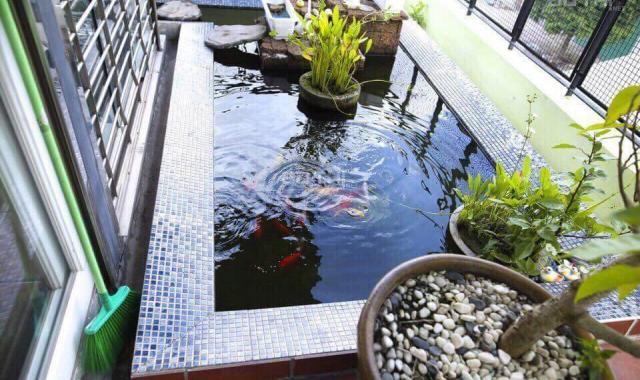Cho thuê nhà mặt tiền Lê Lai, P. Phạm Ngũ Lão, Quận 1, kinh doanh tự do, 8.5*20m. 270tr/th