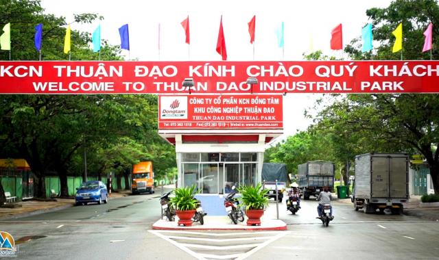 Bán đất đường Phan Văn Mảng, Bến Lức, 750tr gần KCN Thuận Đạo, sổ hồng riêng, công chứng ngay