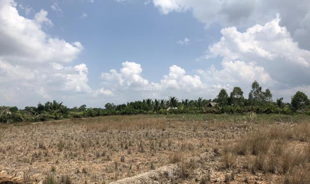 Chính chủ cần tiền bán gấp vài lô đất điểm đầu tư số 1 tại xã Phước Khánh, Nhơn Trạch, Đồng Nai