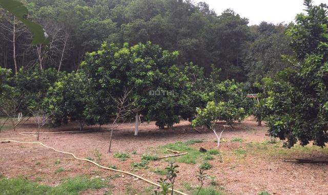 Bán khuôn viên 1,3ha nhà vườn bám mặt QL6 giá chỉ 5.x tỷ ở Lương Sơn, Hòa Bình. LH 0917.366.060/09