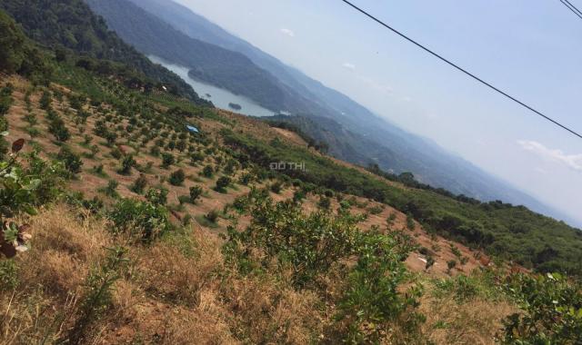 Chính chủ cần bán 13000m2 đất vườn đang trồng sầu riêng năm 2 ở Lộc Bắc Bảo Lâm, Lâm Đồng